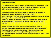 medved.jpg.jpg.jpg